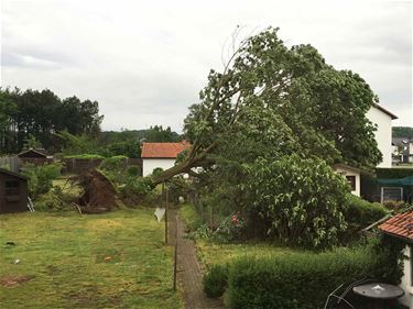 De kracht van de natuur - Beringen