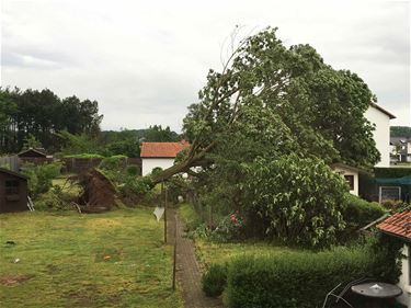 De kracht van de natuur - Beringen