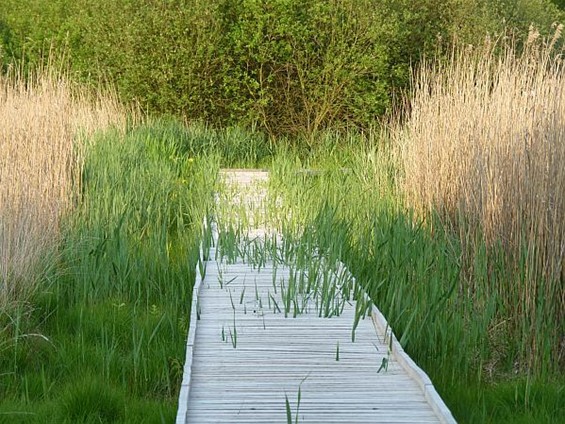 De kracht van de natuur - Neerpelt