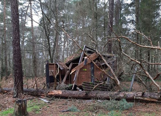 De laatste storm - Hamont-Achel