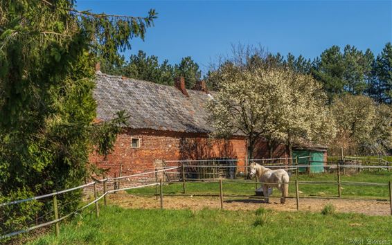 De lente breekt aan in Kleine Brogel - Peer