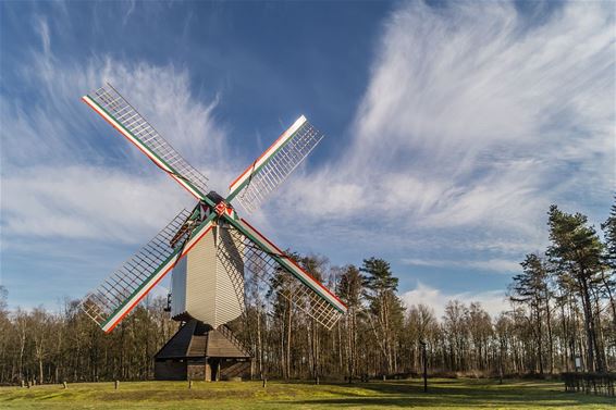 De lente hangt in de lucht - Pelt