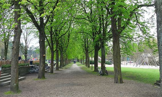 De lente is groen - Neerpelt