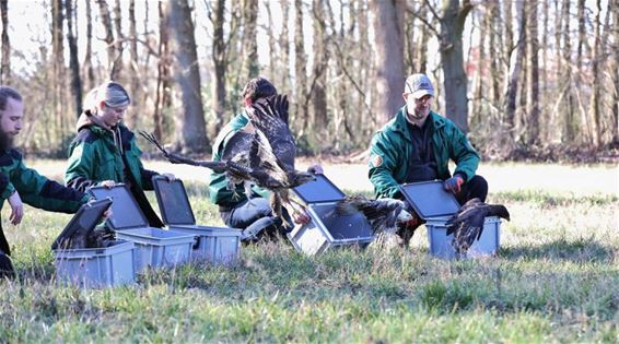 De lente is in het land - Oudsbergen