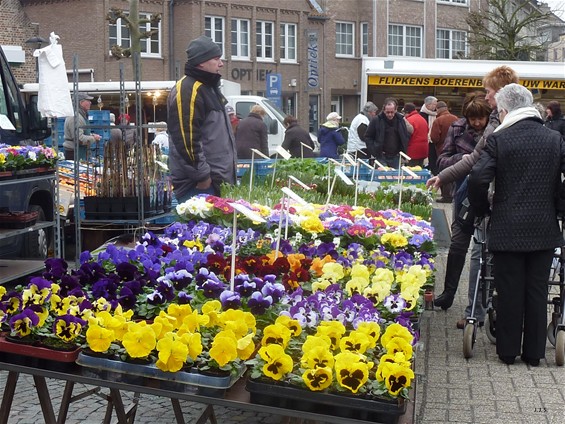 De lente komt er aan - Hamont-Achel