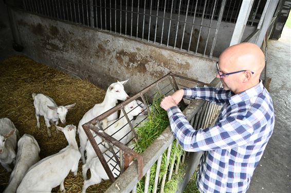 'De liefde voor dieren gaf me zin in het leven' - Beringen