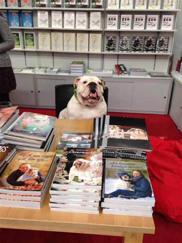 De lieveling van de boekenbeurs - Beringen