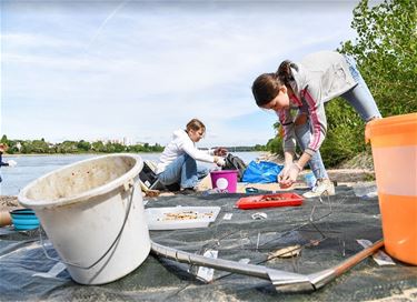 'De Linde' neemt deel aan 'Plastic Pirates' - Pelt