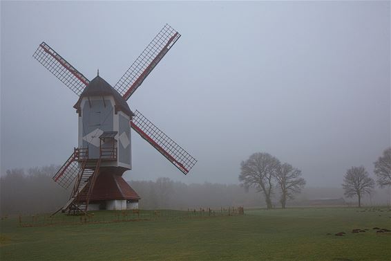 De molen in de mist - Lommel