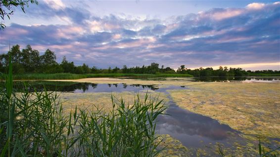 De mooie zonsondergangen in het Hageven - Neerpelt