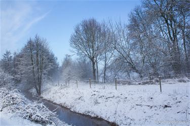 De motbemden Beringen - Beringen