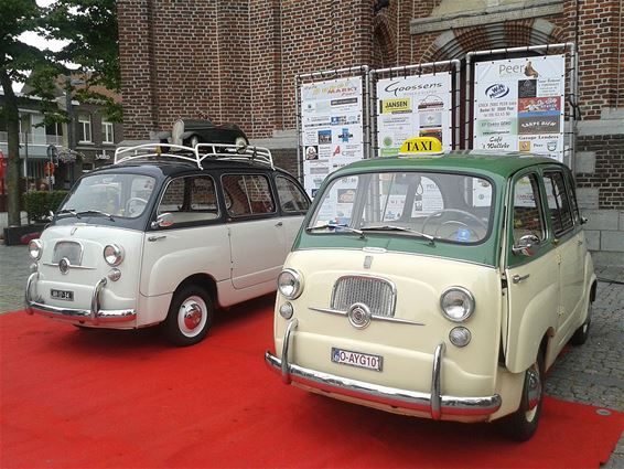 De Multipla 600 van Fiat - Peer