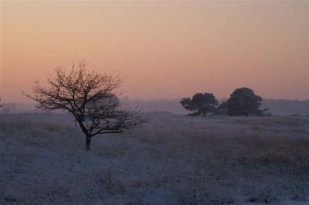 De nacht valt boven het Hageven - Neerpelt