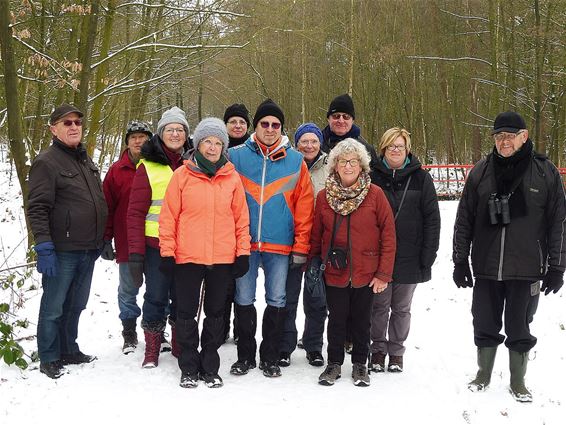 De natuur rond 'Den IJzeren Man' - Hamont-Achel