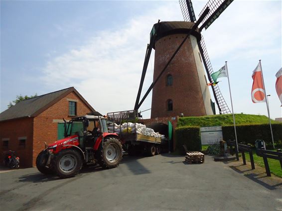 De nieuwe graanoogst is binnen - Neerpelt