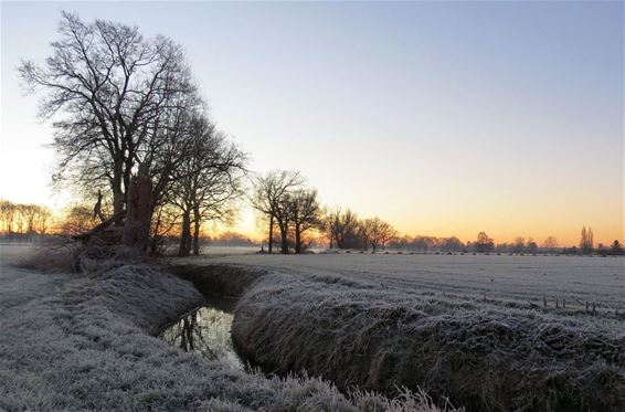 De ochtendstond... - Hamont-Achel