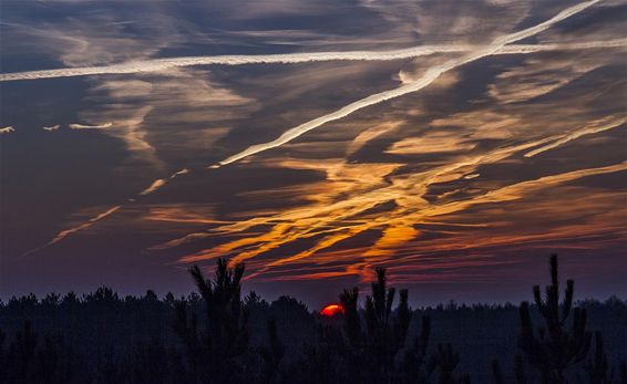 De ochtendstond... - Neerpelt