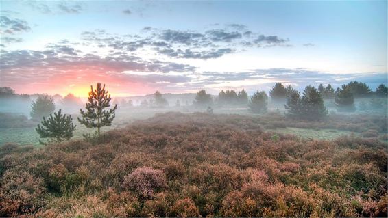 De ochtendstond... - Lommel