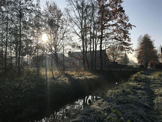 De ochtendstond... - Pelt