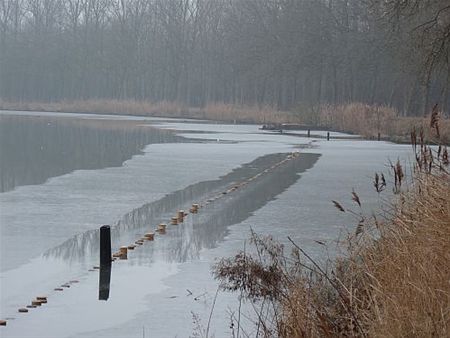 De paaiplaats krijgt vorm - Neerpelt