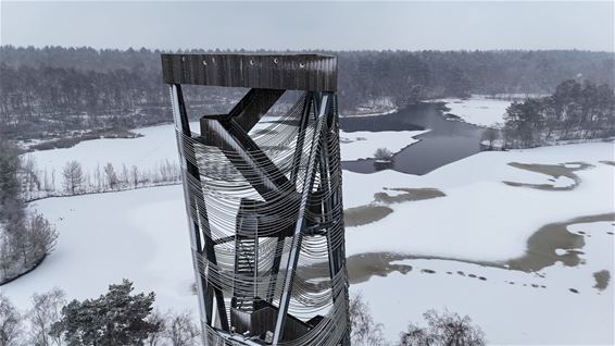 De Reus van Bosland in zwart/wit? - Lommel