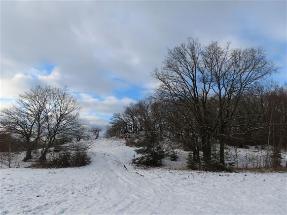 De rustige kant van In den Brand - Hechtel-Eksel