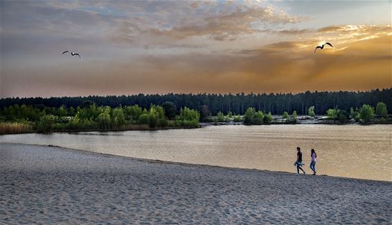 De Sahara bij zonsondergang - Lommel