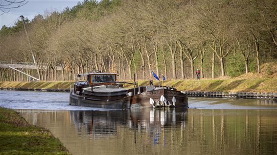 De Sahara, van vervuiling en veel zand naar natuur - Lommel