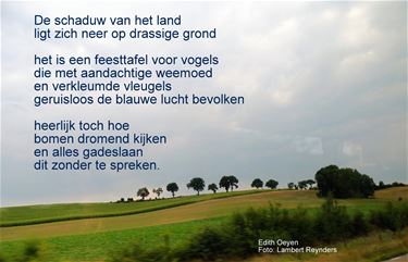 De schaduw van het land - Beringen