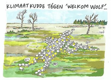 De schapen zijn tegen de wolf