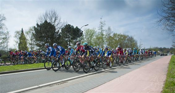 De Scheldeprijs passeerde in Lommel - Lommel