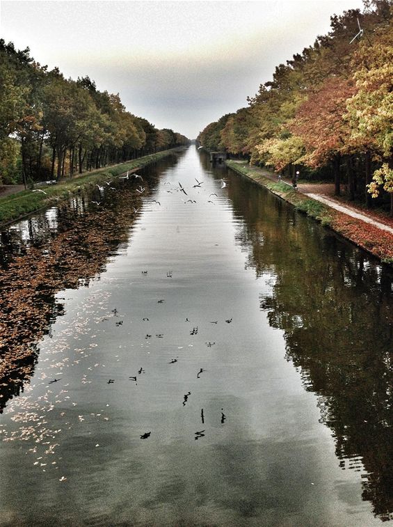 De schoonheid van het kanaal in de herfst - Neerpelt