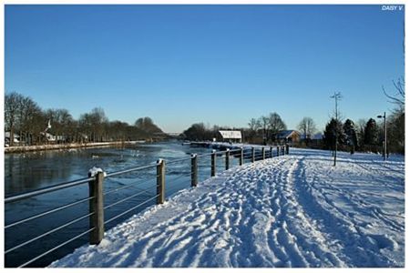 De schoonheid van koud water - Neerpelt