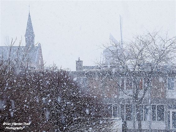 De schoonheid van sneeuw - Hamont-Achel