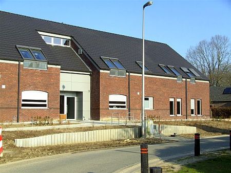 De schoonmaakploegen zijn gearriveerd - Neerpelt