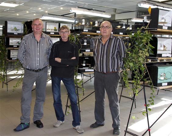 De Siervogel organiseert vogelshow - Lommel