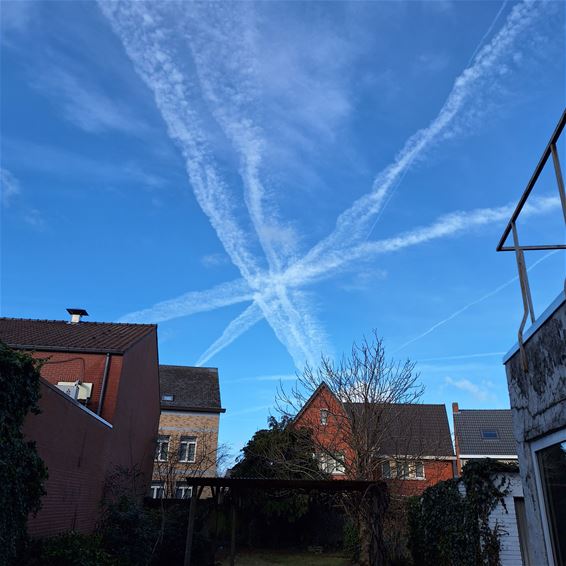 De ster van de dag: Hamont-Achel - Hamont-Achel