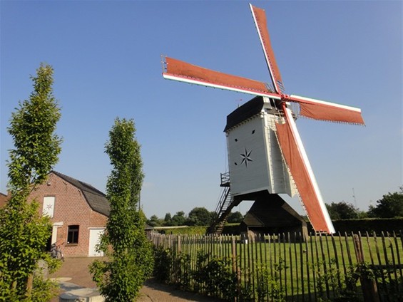 De Stermolen terug met zeilen - Hechtel-Eksel