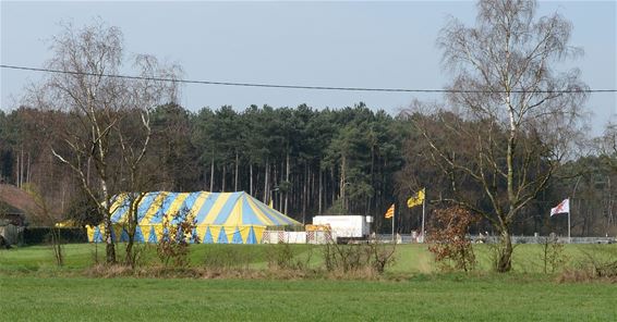 De tent staat er - Overpelt