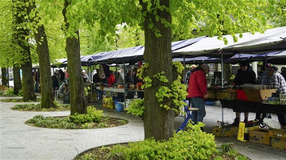 De Teutenmarkt, hij is er weer! - Lommel
