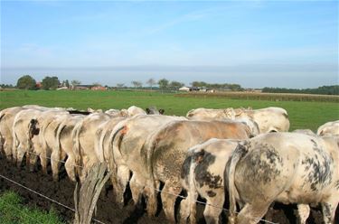 De toegevoegde waarde van landbouw