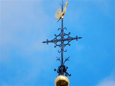 De torenhaan staat er weer - Hamont-Achel