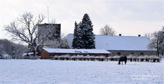 De Torenhoeve in Wijchmaal - Peer