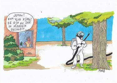 De visie van Fobie