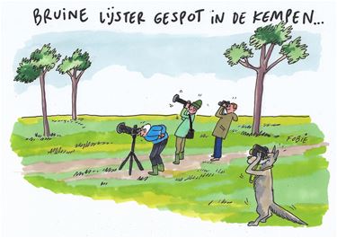 De visie van Fobie... - Pelt