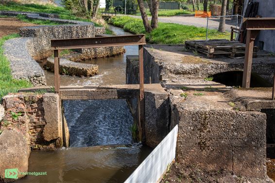 De vistrap naast de Keyartmolen - Bree
