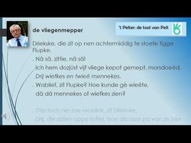 De vliegemepper - Pelt