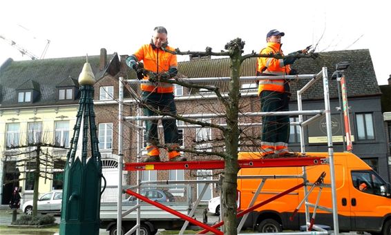 De voorjaarssnoei is begonnen - Peer