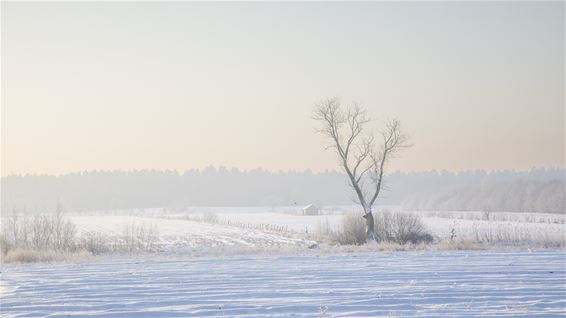 De Vriesput, een klein maar mooi natuurgebiedje - Lommel