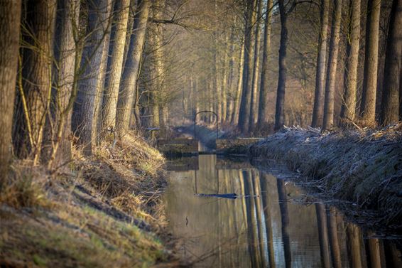 De Wateringen in de winter - Lommel